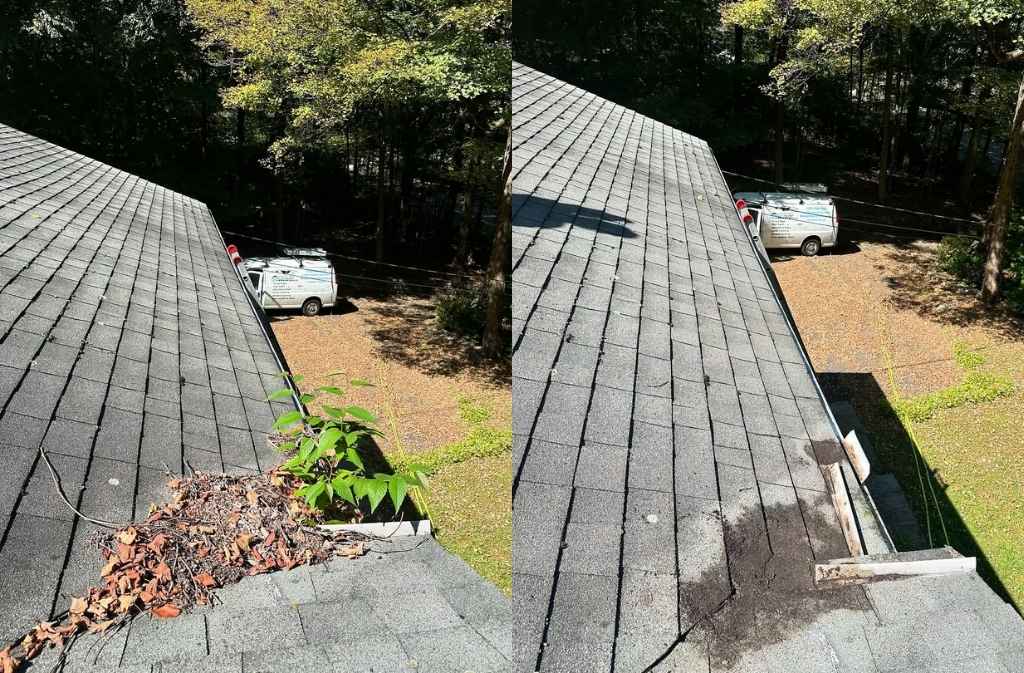 Let’s Get Your Roof & Gutters Cleaned