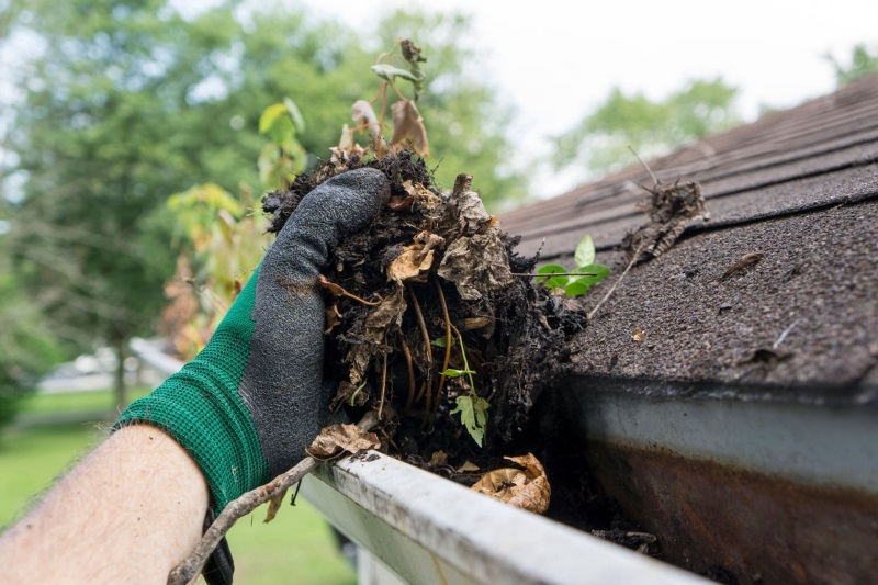 gutter cleaning