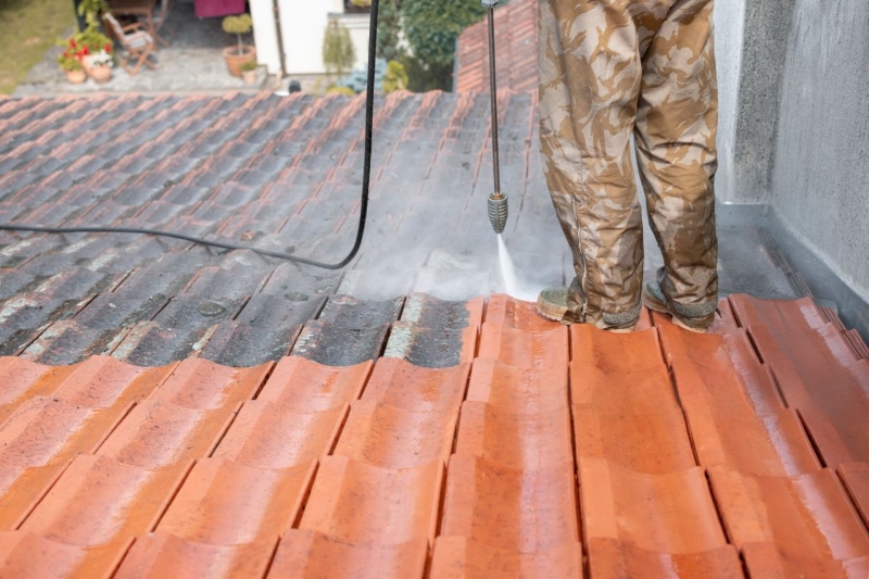 professional washing rooftop from dirt