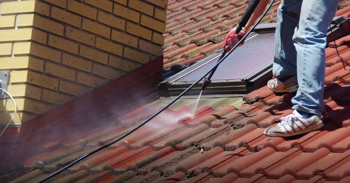 Roof Cleaning Pros and Cons