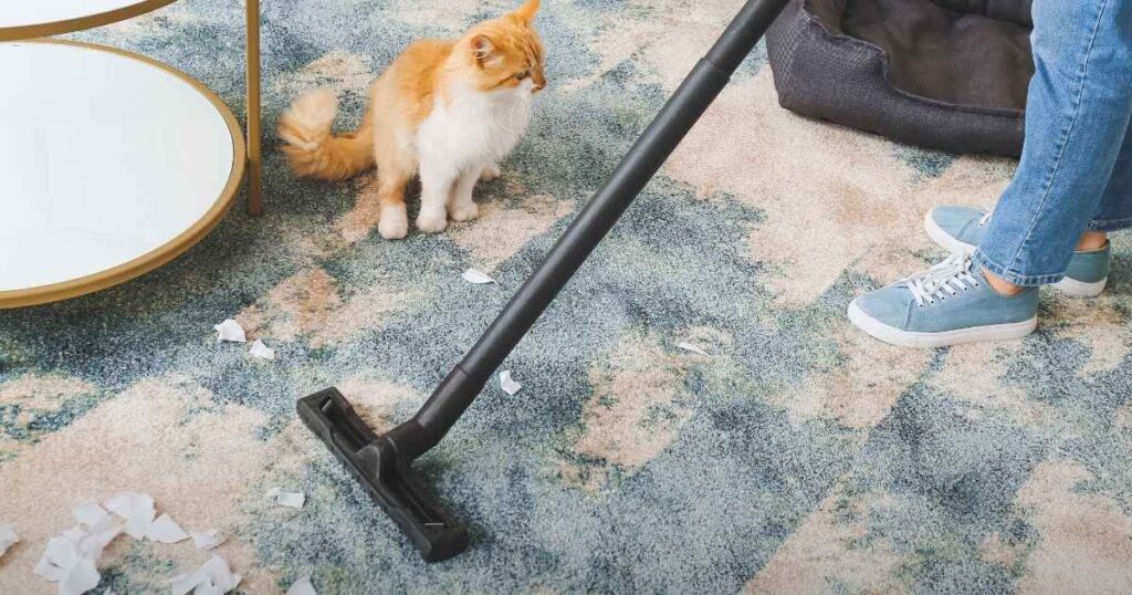Required Cleaning Responsibilities for Landlords