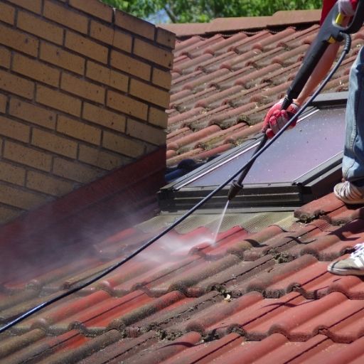 Roof Cleaning Services